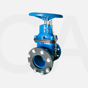 Resilient seat gate valves